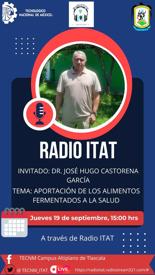 Alimentos fermentados
